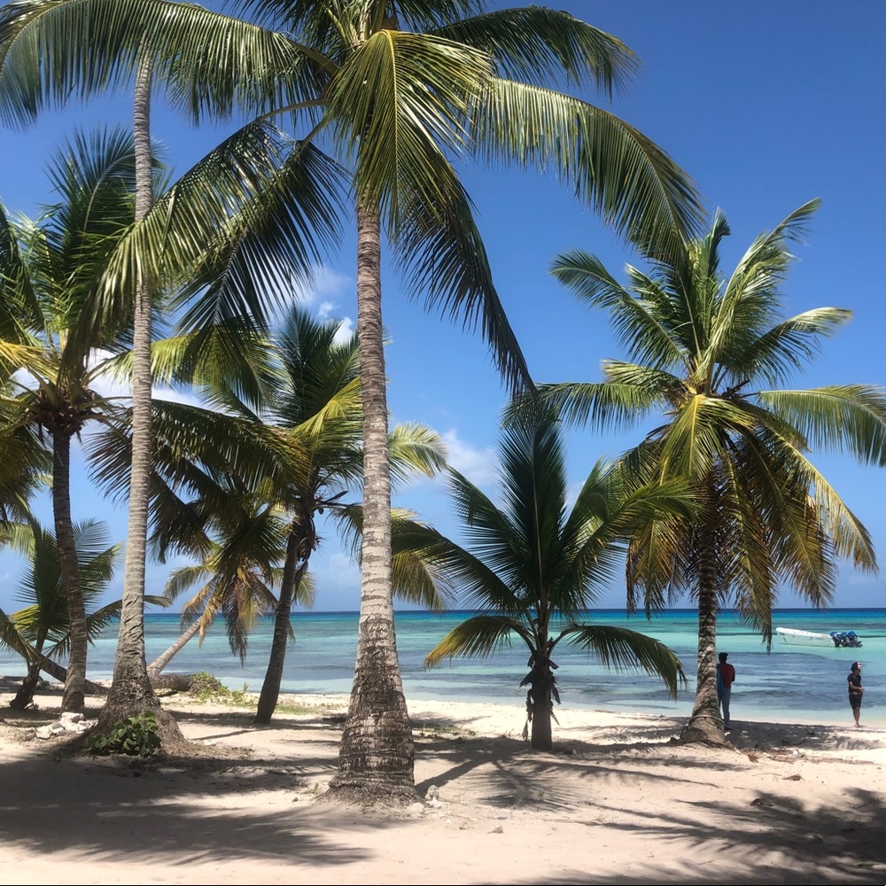 Meet your Posher, Sil